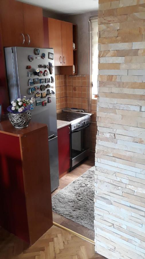 Apartment Niva Zlatibor Exterior foto