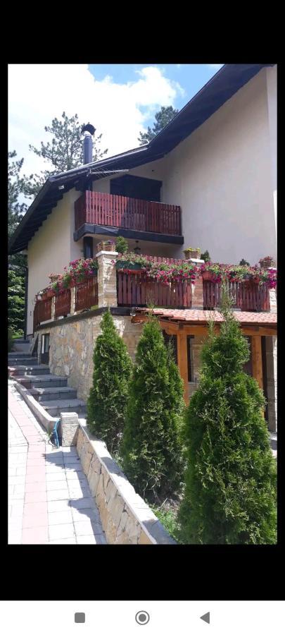 Apartment Niva Zlatibor Exterior foto