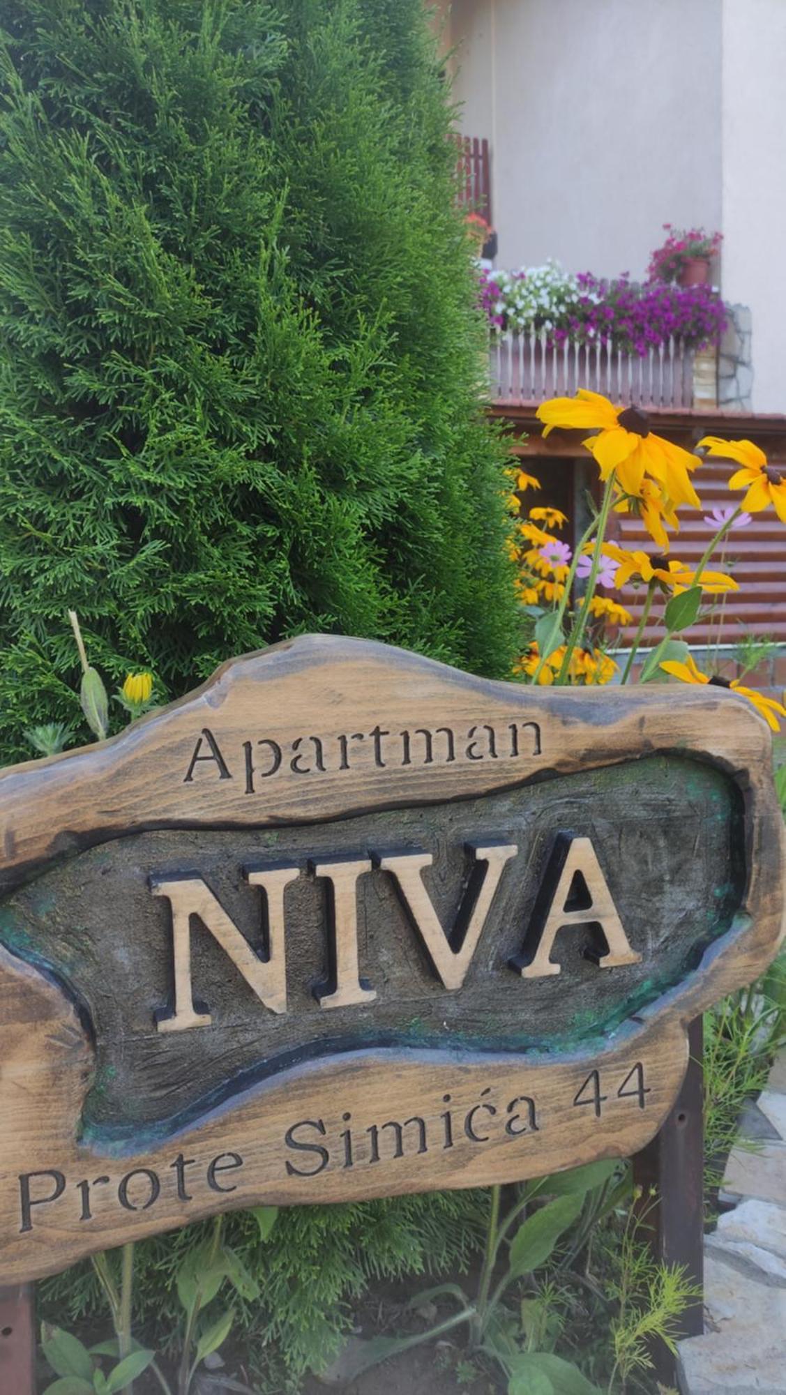 Apartment Niva Zlatibor Exterior foto